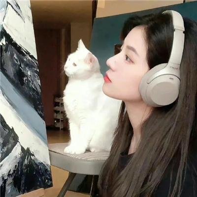 马赛克大乱斗